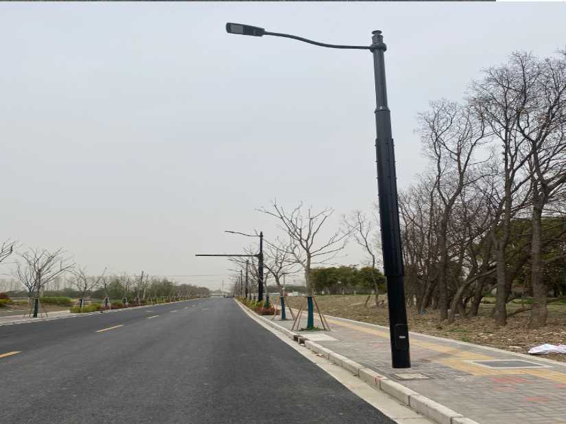 临夏县上海综合杆 太阳能路灯工程